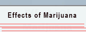 Cannabis Effects