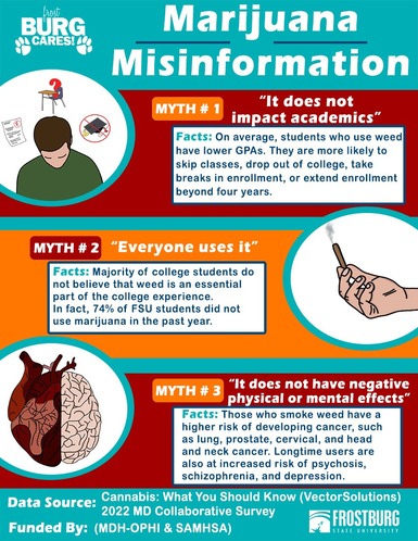 SAFE Marijuana Poster 2