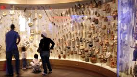 Exhibit in the Museum