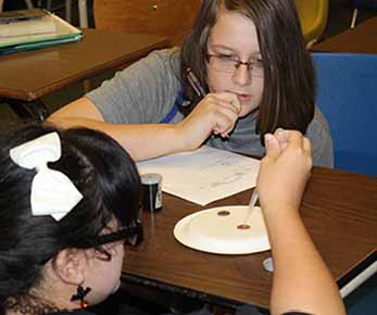 Penny Experiment